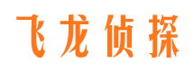 蕉城市侦探公司